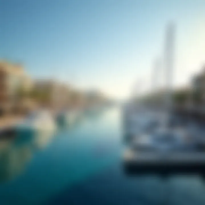 Vibrant marina at Port de La Mer with yachts docked